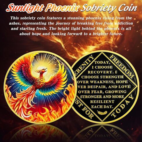 Colorful Sunlight Phoenix Na Medallions - Reborn from Fire Sobriety Coin - Recovery Addiction NA AA Chips and Medallions - Celebrate Living Clean Affirmation Narcotics Anonymous Gifts for Men Women in Kuwait
