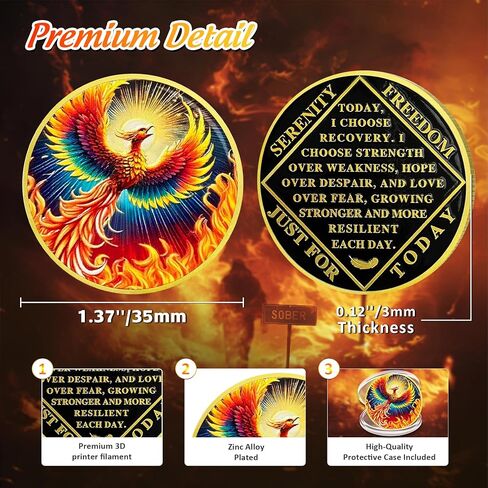 Colorful Sunlight Phoenix Na Medallions - Reborn from Fire Sobriety Coin - Recovery Addiction NA AA Chips and Medallions - Celebrate Living Clean Affirmation Narcotics Anonymous Gifts for Men Women in Kuwait