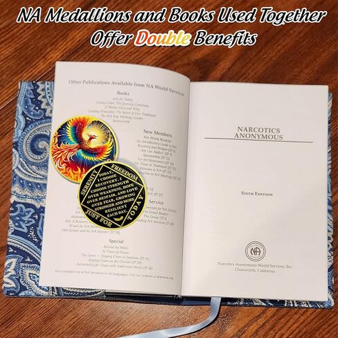 Colorful Sunlight Phoenix Na Medallions - Reborn from Fire Sobriety Coin - Recovery Addiction NA AA Chips and Medallions - Celebrate Living Clean Affirmation Narcotics Anonymous Gifts for Men Women in Kuwait