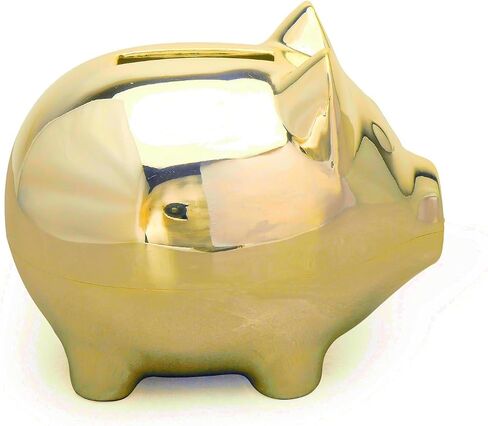 K COOL Vintage Tiny Piggy Bank Creative Metal Alloy Cartoon Money Bank Cute Coin Bank Pig Penny Coin Saving Pot Box with Stopper for Boy Kid Tiny(Shiny Silver) in Saudi Arabia