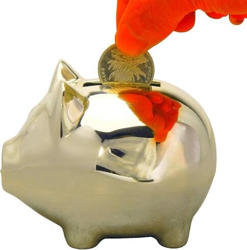 K COOL Vintage Tiny Piggy Bank Creative Metal Alloy Cartoon Money Bank Cute Coin Bank Pig Penny Coin Saving Pot Box with Stopper for Boy Kid Tiny(Shiny Silver) in Saudi Arabia