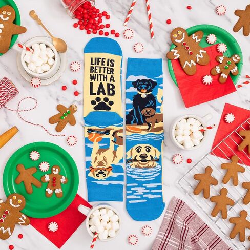 لافلي - جوارب مبتكرة بعبارة If You Can Read This Bring Me - جوارب رسمية مرحة للرجال والنساء, One Size in Kuwait