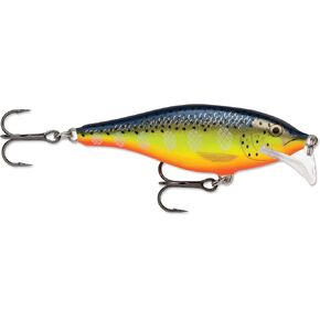 Rapala Scatter Rap Shad Lure, Blue Back Herring, 7cm