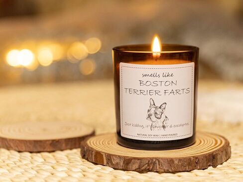 Boston Terrier Gifts, Boston Terrier Gifts for Women, Boston Terrier Gifts for Men, Dog Mom Gifts, Dog Mom Gifts for Women, Dog Lover Gifts, Boston Terrier Decor, Dog Farts Candle in Saudi Arabia