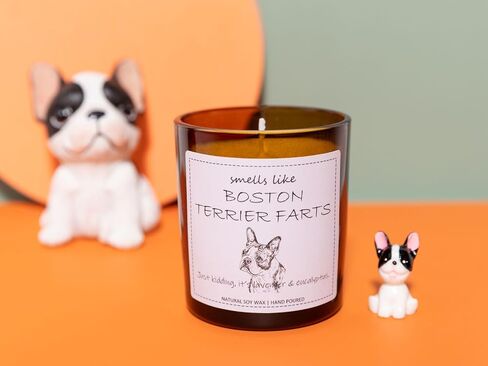 Boston Terrier Gifts, Boston Terrier Gifts for Women, Boston Terrier Gifts for Men, Dog Mom Gifts, Dog Mom Gifts for Women, Dog Lover Gifts, Boston Terrier Decor, Dog Farts Candle in Saudi Arabia