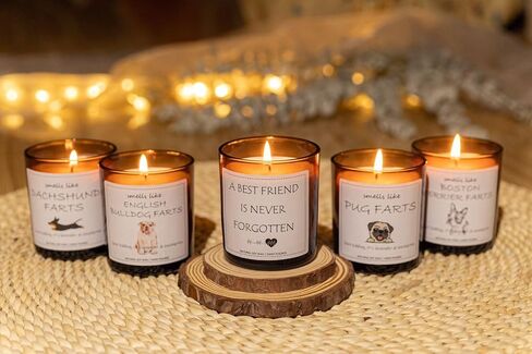 Boston Terrier Gifts, Boston Terrier Gifts for Women, Boston Terrier Gifts for Men, Dog Mom Gifts, Dog Mom Gifts for Women, Dog Lover Gifts, Boston Terrier Decor, Dog Farts Candle in Saudi Arabia