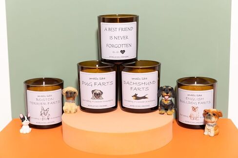 Boston Terrier Gifts, Boston Terrier Gifts for Women, Boston Terrier Gifts for Men, Dog Mom Gifts, Dog Mom Gifts for Women, Dog Lover Gifts, Boston Terrier Decor, Dog Farts Candle in Saudi Arabia
