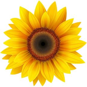 Yellow Sunflower Decal 3M USA Made Sticker CAR Truck Window Bumper Wall (3" Wide)