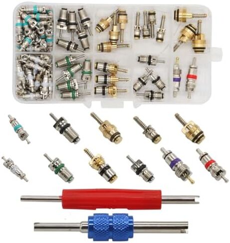 102PCS Car R134A/R12 A/C Schrader Valve Core Remover Tool Kit 1/4" 5/16" in Saudi Arabia