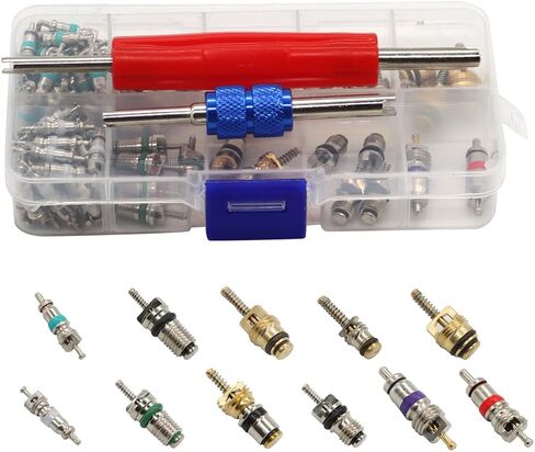 102PCS Car R134A/R12 A/C Schrader Valve Core Remover Tool Kit 1/4" 5/16" in Saudi Arabia