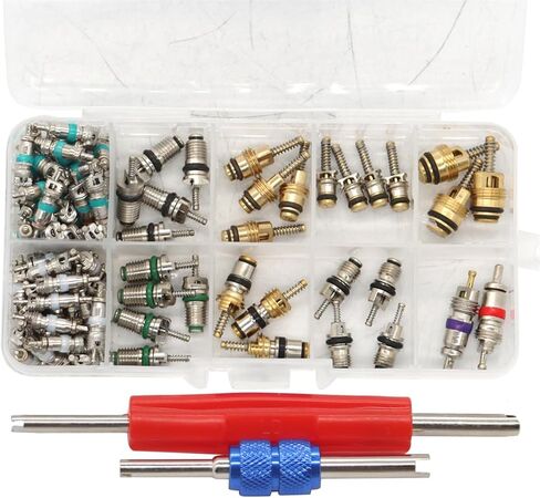 102PCS Car R134A/R12 A/C Schrader Valve Core Remover Tool Kit 1/4" 5/16" in Saudi Arabia