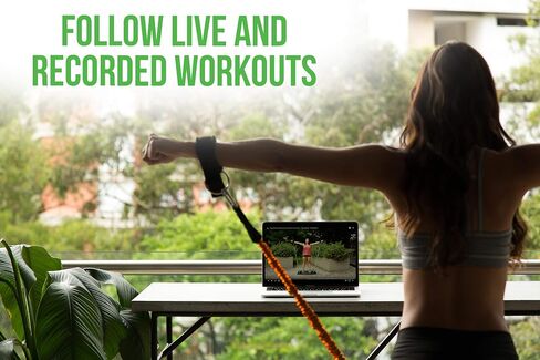 Home Gym 2.0 - حزمة تمارين رياضية منزلية محمولة كاملة + مجموعة واحدة من أشرطة المقاومة - شريط مقاومة قابل للطي، مقابض - تدريبات لكامل الجسم للمنزل أو السفر أو الخارج - أرجواني in Kuwait