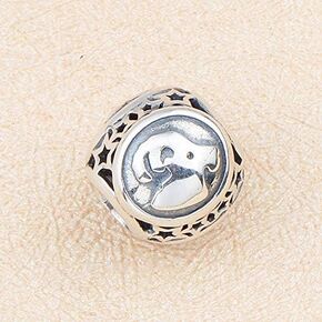 NicelyFit 925 Sterling Silver Zodiac Constellation Sign Bead Charm fit Pandora Chamilia Bracelet Necklace (Taurus)