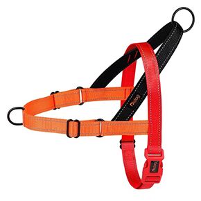 Didog No Pull Dog Harness with Soft Padded Handle, Quick Fit & Lightweight Adjustable Vest Harness, Easy for Training Walking for Small & Medium and Large Dogs(Blue,L)