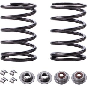 26lb Valve Spring Kit for Predator 196cc 212cc For Honda GX200 GX160 Clone Go Kart Mini Bike Racing Engine Springs Hemi