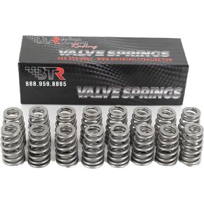 BTR LS6 Beehive Valve Springs, Set of 16