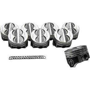 Sterling Sealed Power H273CP30 Cast Piston