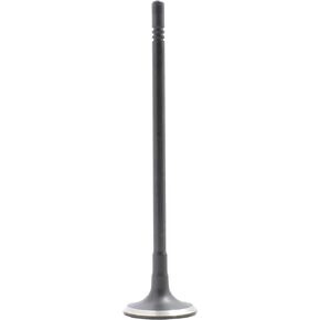 DNJ EV340 Exhaust Valve for 2009-2011 / Chevrolet, Pontiac/Aveo, Aveo5, G3 / 1.6L / DOHC / L4 / 16V / 98cid / LXV