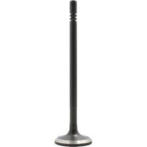DNJ EV1169 Exhaust Valve for 2011-2016 / Chrysler, Dodge, Jeep, Ram/Challenger, Charger, Cherokee, Durango, Grand Caravan, Grand Cherokee, Journey, Wrangler / 3.2L, 3.6L / DOHC / V6 / 24V / VIN S