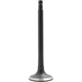 DNJ EV624A Exhaust Valve for 1998-2004 / Nissan/Altima, Frontier, Xterra / 2.4L / DOHC / L4 / 16V / 2389cc / KA24DE
