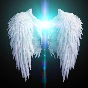 NIHO-JIUMA Wings Diamond Painting Kits, 5D Full Drill Diamond Art Kit Painting Gift for Adults, Home Decor (40x40cm/16x16inches)