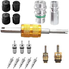 17PCS Car Air Conditioning Valve Core Kit, R12 R134a Vehicle HVAC Valve Stem Cores with Removal Tool, Auto AC Refrigeration Cap Valve Core Assortment Set, Universal for Most Cars