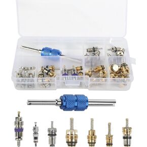 40PCS AC Schrader Valve Kit,AC Valve Core Removal Tool,Car Accessories AC Valve Core Kit,AC Schrader Valve Removal Tool,Automotive Tools R134a Schrader Valve Kit,AC Repair Kit for Most Cars