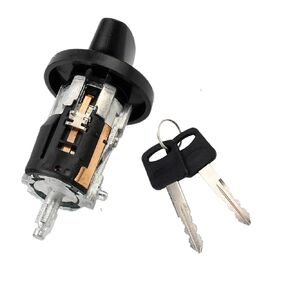 Ignition Lock Cylinder Switch 924-724,Compatible with Ford 1996-2016 Lincoln 1996-2007 Mercury 1996-2007 Mazda 1998-2009 Replace OE# 924-724