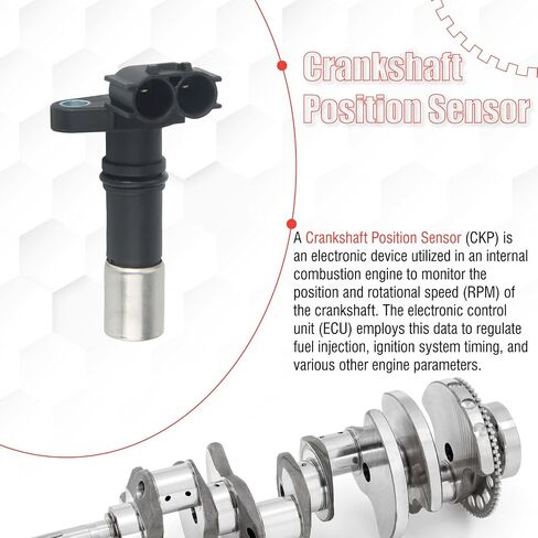 90919-05057 Crankshaft Position Sensor Compatible with ES350 GS300 GS350 GS450h IS250 IS350 RX350 RX450h Evora 4Runner Avalon Camry FJ Cruiser Highlander RAV4 Sienna Tacoma Tundra Venza in Saudi Arabia