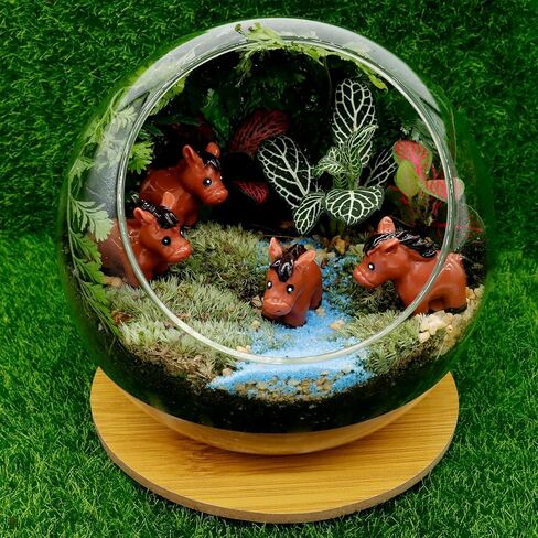 Bbiamsleep 30 قطعة من تماثيل الحصان المصغرة، تماثيل صغيرة من الراتنج، حصان صغير من البلاستيك، أشكال صغيرة من الراتنج للحديقة الخيالية، الطحلب، المناظر الطبيعية الصغيرة، ديكور تررم، كعكة علوية in Kuwait