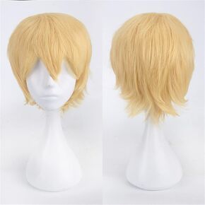 Unisex Black Short Hair Wig Cosplay Anime Wig Fluffy Layered Halloween Costume Cosplay Wig Heat Resistant Synthetic Theme Party Prom Black Hair Wigs with Bangs