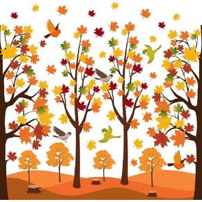 176 Pcs Fall Tree Cutouts Maple Leaves Tree Bulletin Board Decorations Fall Tree Maple Leaves Bird Classroom Bulletin Board Cutouts for School Classroom Home Chalkboard Wall Decor