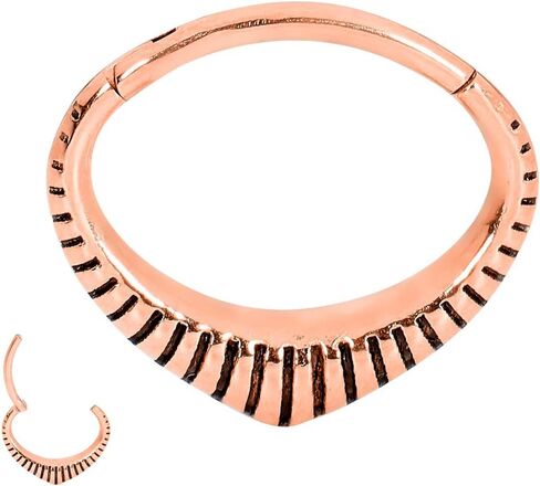 365 Sleepers Surgical Steel 16G 6mm 8mm Oval Hinged Hoop Segment Nose Ring Helix Tragus Septum Earring Body Piercing Jewelry in Kuwait