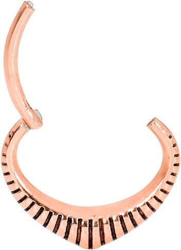 365 Sleepers Surgical Steel 16G 6mm 8mm Oval Hinged Hoop Segment Nose Ring Helix Tragus Septum Earring Body Piercing Jewelry in Kuwait