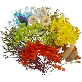 530 Pcs Dried Flowers for Crafts, Small Pressed Flowers Bulk with Tweezer for Resin Accessories Decoration, Crafting Supplies Real Dry Flowers Decor DIY Art Candle Soap Making Nails