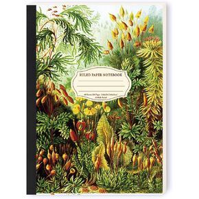 qianshan 5.8"x8.3" A5 Small Size Travel Journal Notebook, Wide Ruled Notebook Paper, 120 pages/60 Sheets, Journal Subject Notebooks for Work, Office Note Taking. Aesthetic Composition Cactus in Kuwait