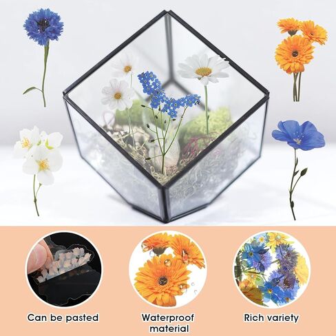 120 قطعة من ملصقات الزهور لسكرابوكينغ، مجموعة ملصقات زهور شفافة لمستلزمات سجل القصاصات، والحرف اليدوية، والبطاقات، والكمبيوتر المحمول، (60 نمطًا) (موضوع أرجواني) in Kuwait