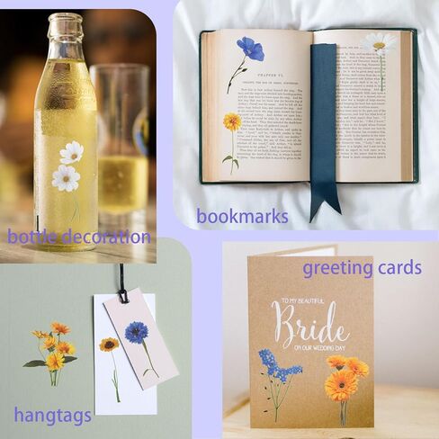 120 قطعة من ملصقات الزهور لسكرابوكينغ، مجموعة ملصقات زهور شفافة لمستلزمات سجل القصاصات، والحرف اليدوية، والبطاقات، والكمبيوتر المحمول، (60 نمطًا) (موضوع أرجواني) in Kuwait