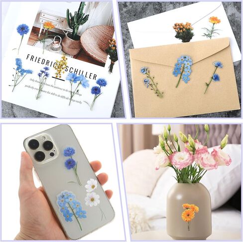 120 قطعة من ملصقات الزهور لسكرابوكينغ، مجموعة ملصقات زهور شفافة لمستلزمات سجل القصاصات، والحرف اليدوية، والبطاقات، والكمبيوتر المحمول، (60 نمطًا) (موضوع أرجواني) in Kuwait