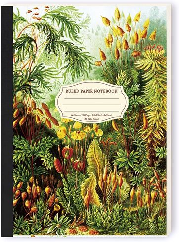 qianshan 5.8"x8.3" A5 Small Size Travel Journal Notebook, Wide Ruled Notebook Paper, 120 pages/60 Sheets, Journal Subject Notebooks for Work, Office Note Taking. Aesthetic Composition Cactus in Kuwait