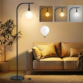 Marlrin Industrial Metal Floor Lamp with Acrylic Shape, 12W LED Bulb Standing Lamp for Living Room with 3 Color Temperatures, 65" Light with Foot Switch for Bedroom Reading(Black,3000K-6500K)