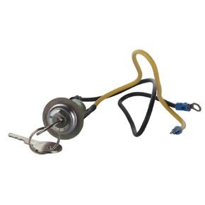 8N3679C Ignition Switch with 2 Wire 2 Position 2 Keys 2N 8N 9N 4000 6000 641 NAA 501 600 601 700 701 800 801 900 2000 4000 1939-1964 Replacement for Ford Jubilee Tractor,Car, Boat, Truck