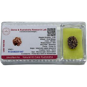 Certified 3 Mukhi (Three Faces) Rudraksha - Universal Sun Sign - Solar Plexus Chakra