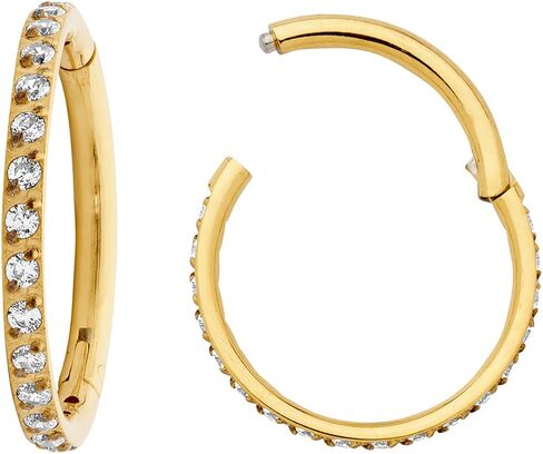 365 SLEEPERS G23 Titanium 16G Gem Hinged Segment Ring Helix Tragus Septum Nose Body Piercing Jewelry in Kuwait