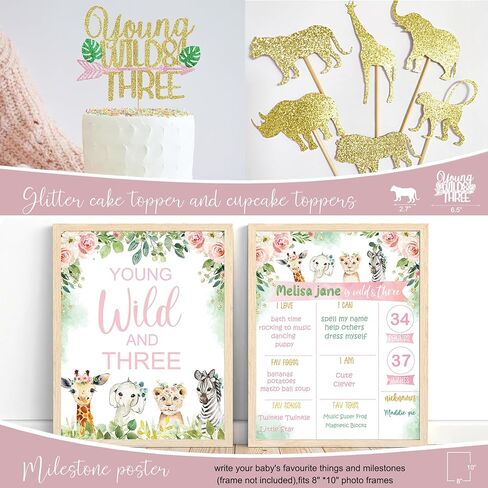 Young Wild & Three Birthday Decorations Supplies, Wild Three Birthday Decorations for Girl, Jungle Safari Animal 3rd Birthday Decorations Girl in Kuwait