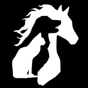 Animal Lover - Horse Dog Cat Outline - Vinyl - 5" Tall (Color: White) Decal Laptop Tablet Skateboard car Windows Stickers