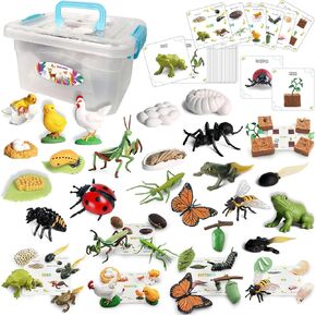 Life Cycle Toys, 33 PCS, Learning & Educational Toys, Realistic Figurine Toys, Preschool Science Learning Toys, Kids Animal Match Sets, Animal Toys Figurines for Age 3+ Boy and Girl