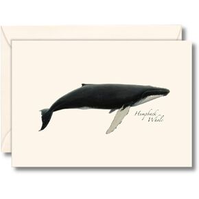 Earth Sky + Water - Humpback Whale Notecard Set - 8 Blank Cards with Envelopes