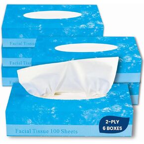 1InTheOffice Facial Tissue, Tissue Paper Box, Facial Tissue Paper, 2-Ply, Soft and Strong, Flat Box, White, 100 Sheets/Box, 6 Boxes