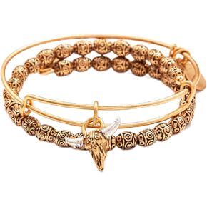 Alex and Ani A22INTENSET10,Manifest Strength Set of 2,Gold,Bracelet